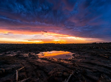 14102016Sonneunterganglindach