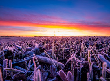 170526Sonnenaufgangreifmammendorf1