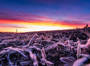 170526Sonnenaufgangreifmammendorf3